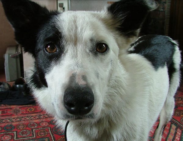 Maddie inside, in bignose close-up