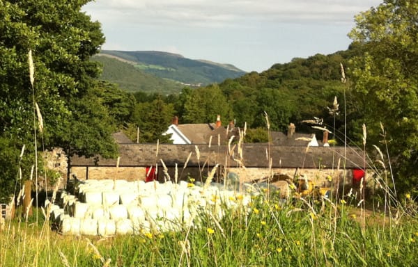 Blaengwawr Farm, yesterday